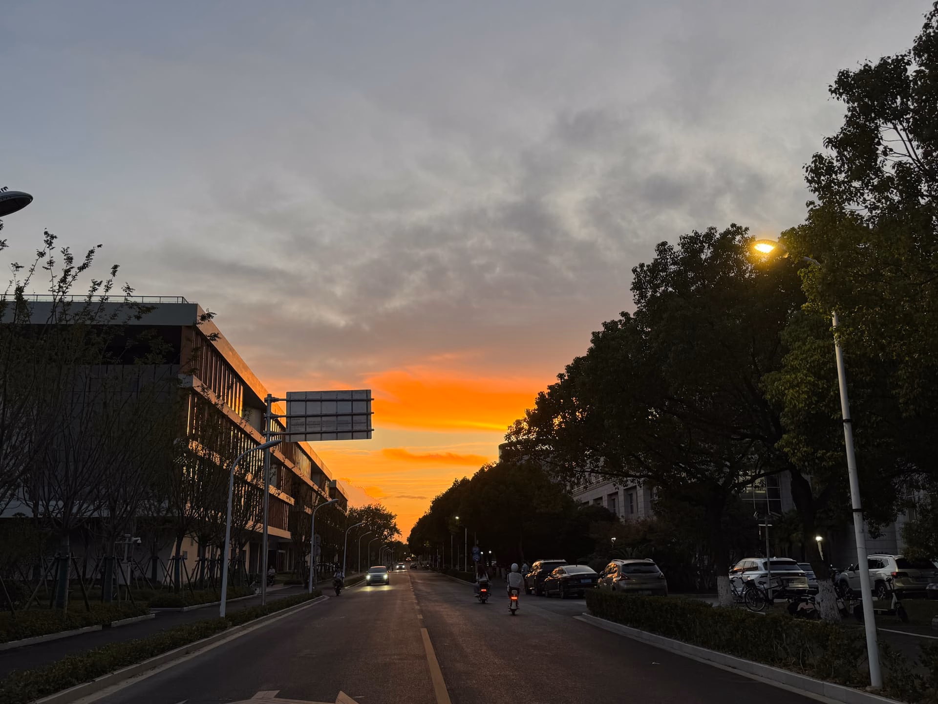 IMG_3953