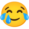 :joy_smiling_face_with_tear: