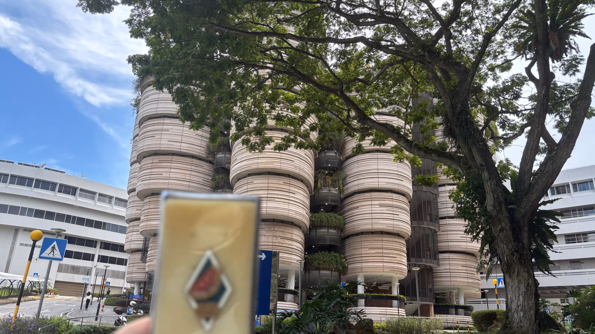 小笼包(中)